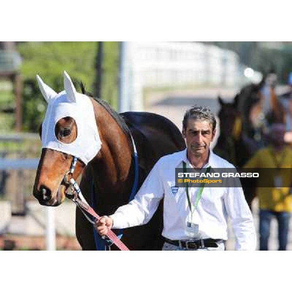 Noble Hacky Rome - Capannelle racecourse,14th april 2013 ph.Stefano Grasso