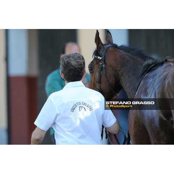 Killachy Loose Rome - Capannelle racecourse,14th april 2013 ph.Stefano Grasso
