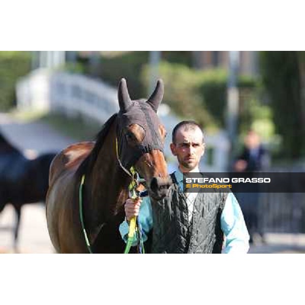 Bettolle Rome - Capannelle racecourse,14th april 2013 ph.Stefano Grasso