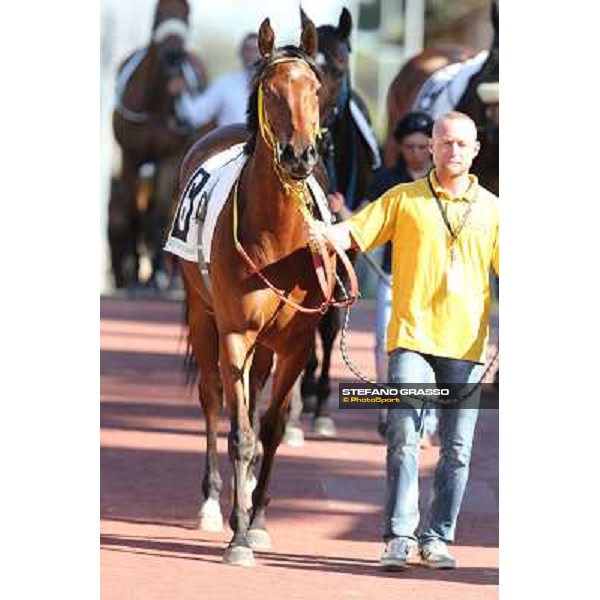 Clorofilla Rome - Capannelle racecourse,14th april 2013 ph.Stefano Grasso