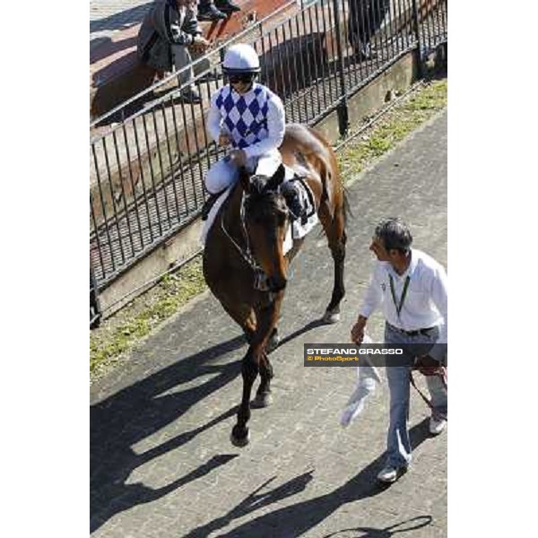 Andrea Mezzatesta on Noble Hachy Rome - Capannelle racecourse,14th april 2013 ph.Stefano Grasso