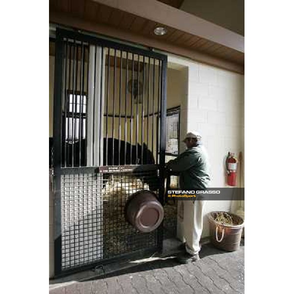 Storm Cat Overbrook Farm Lexington (KY), 6th nov.2006 ph.Stefano Grasso