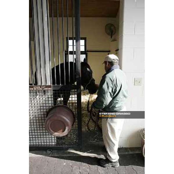Storm Cat Overbrook Farm Lexington (KY), 6th nov.2006 ph.Stefano Grasso