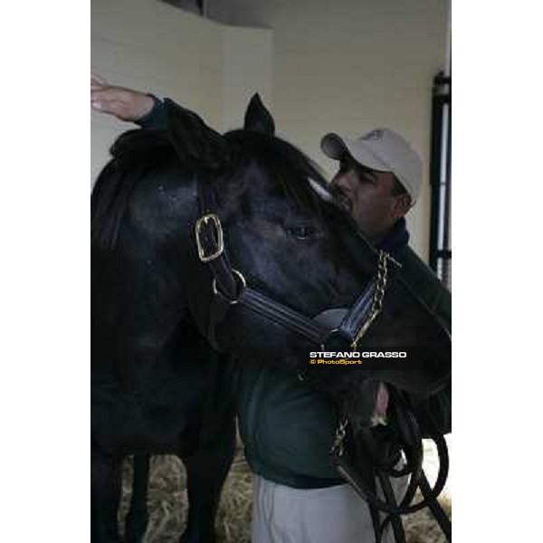Storm Cat Overbrook Farm Lexington (KY), 6th nov.2006 ph.Stefano Grasso