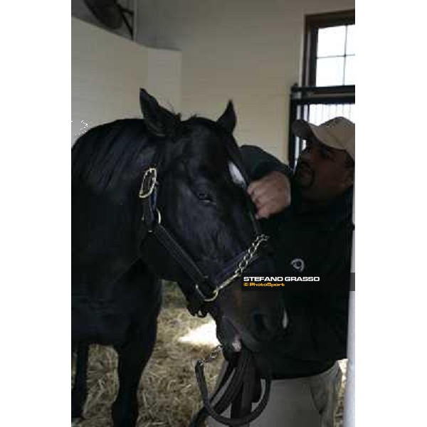 Storm Cat Overbrook Farm Lexington (KY), 6th nov.2006 ph.Stefano Grasso
