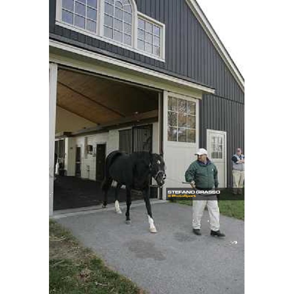 Storm Cat Overbrook Farm Lexington (KY), 6th nov.2006 ph.Stefano Grasso