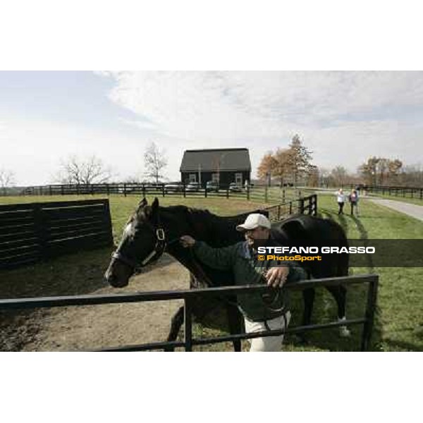Storm Cat Overbrook Farm Lexington (KY), 6th nov.2006 ph.Stefano Grasso