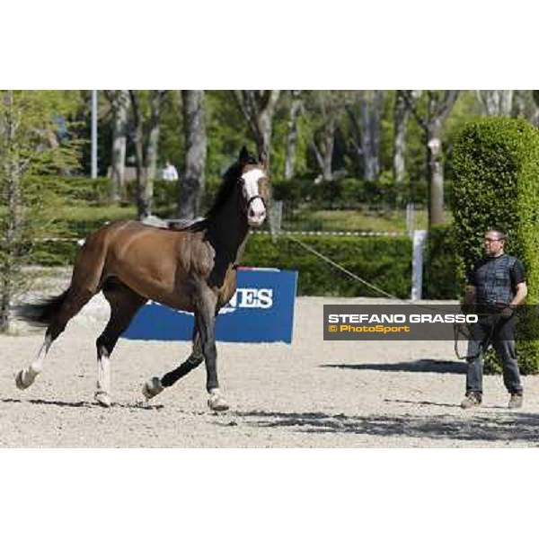 Longines Global Champions Tour of Madrid Madrid,2nd may 2013 ph.Stefano Grasso/Longines Global Champions Tour
