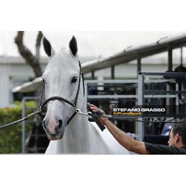 Longines Global Champions Tour of Madrid Madrid,2nd may 2013 ph.Stefano Grasso/Longines Global Champions Tour