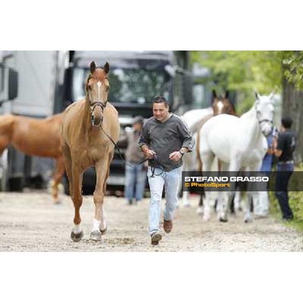 Longines Global Champions Tour of Madrid Madrid,2nd may 2013 ph.Stefano Grasso/Longines Global Champions Tour