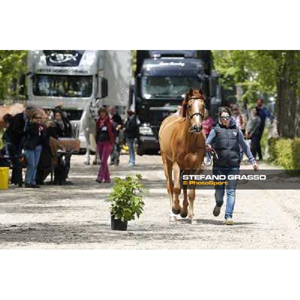 Longines Global Champions Tour of Madrid Madrid,2nd may 2013 ph.Stefano Grasso/Longines Global Champions Tour