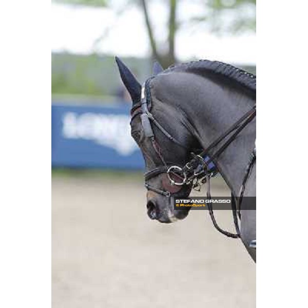 Longines Global Champions Tour of Hamburg warm up Hamburg,8th may 2013 ph.Stefano Grasso/Longines Global Champions Tour