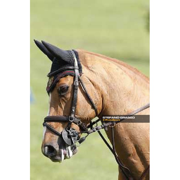 Longines Global Champions Tour of Hamburg warm up Hamburg,8th may 2013 ph.Stefano Grasso/Longines Global Champions Tour