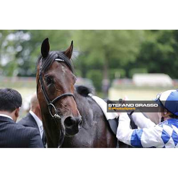 Royal Ascot -Second Day Ascot - Royal Ascot,19th june 2013 ph.Stefano Grasso