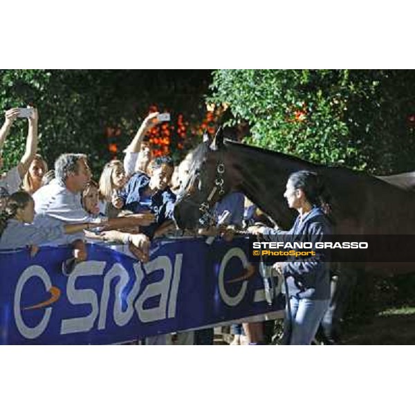 Varenne at Montecatini racecourse Montecatini,31st august 2013 ph.Stefano Grasso