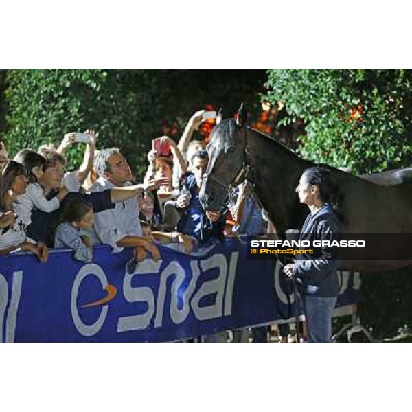Varenne at Montecatini racecourse Montecatini,31st august 2013 ph.Stefano Grasso