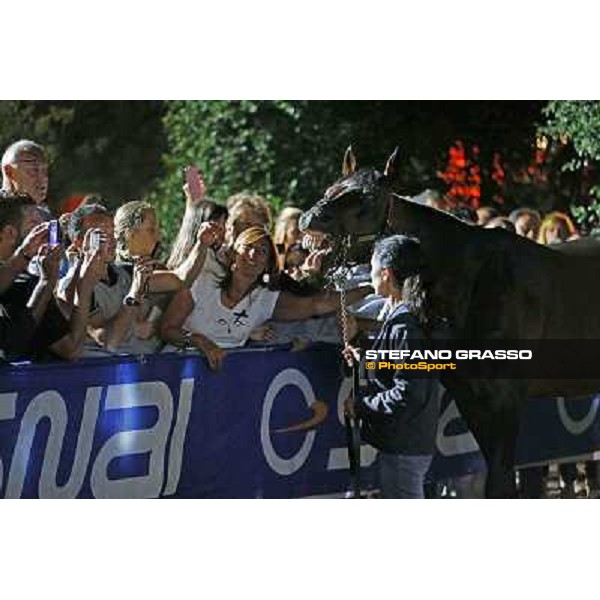 Varenne at Montecatini racecourse Montecatini,31st august 2013 ph.Stefano Grasso