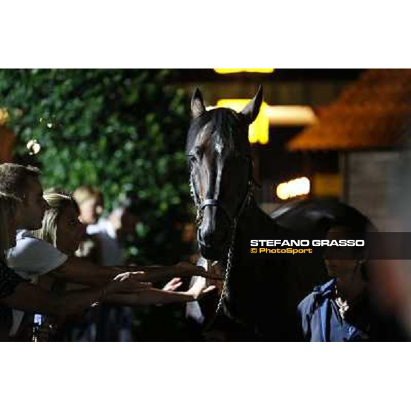 Varenne at Montecatini racecourse Montecatini,31st august 2013 ph.Stefano Grasso
