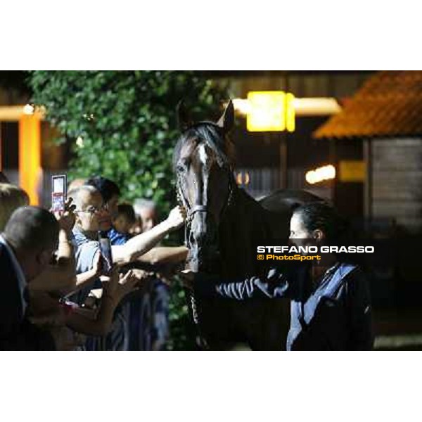 Varenne at Montecatini racecourse Montecatini,31st august 2013 ph.Stefano Grasso