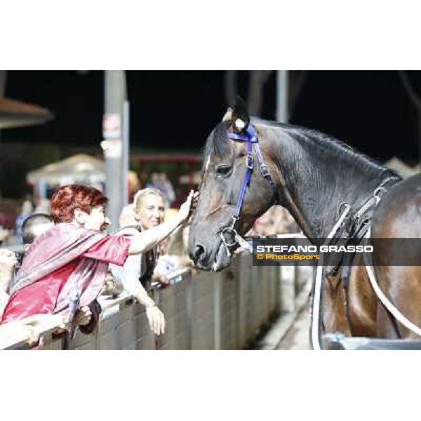 Varenne at Montecatini racecourse Montecatini,31st august 2013 ph.Stefano Grasso