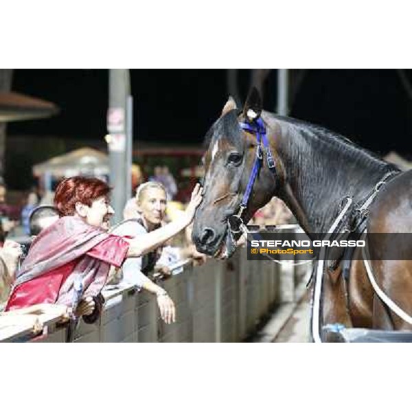 Varenne at Montecatini racecourse Montecatini,31st august 2013 ph.Stefano Grasso
