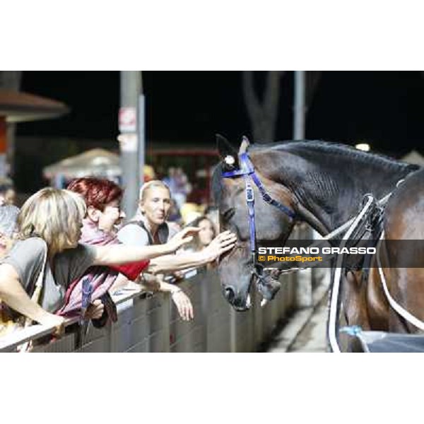 Varenne at Montecatini racecourse Montecatini,31st august 2013 ph.Stefano Grasso