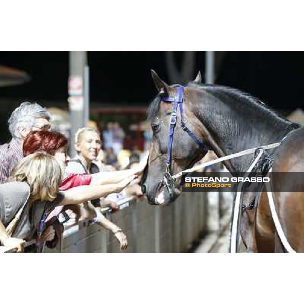 Varenne at Montecatini racecourse Montecatini,31st august 2013 ph.Stefano Grasso