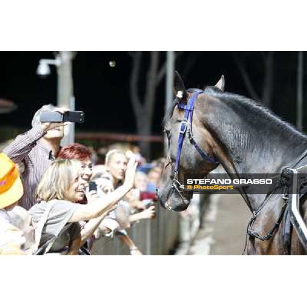 Varenne at Montecatini racecourse Montecatini,31st august 2013 ph.Stefano Grasso
