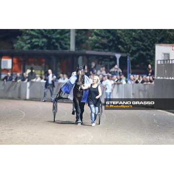 Varenne at Montecatini racecourse Montecatini,31st august 2013 ph.Stefano Grasso