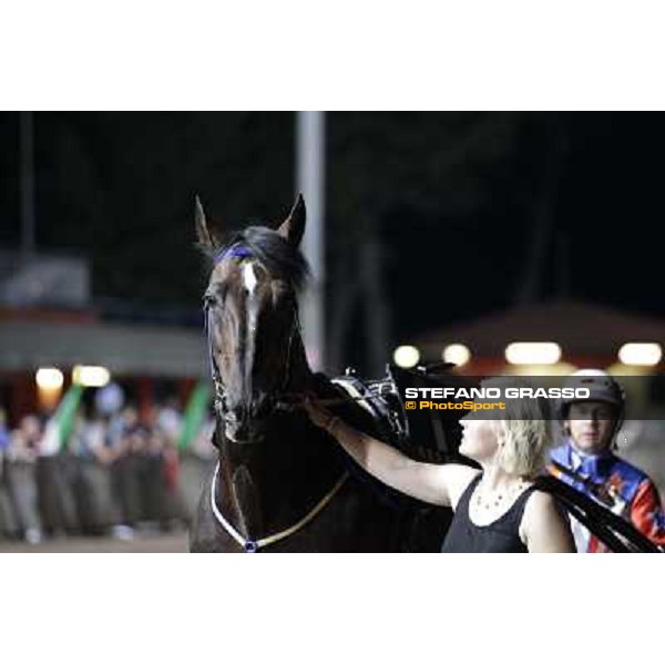 Varenne at Montecatini racecourse Montecatini,31st august 2013 ph.Stefano Grasso