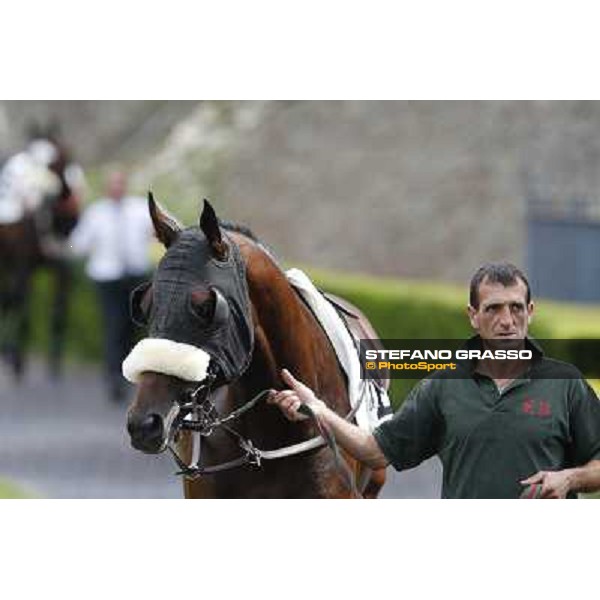 Carlo Fiocchi and Principe Adepto win the Premio Festuca Rome,Capannelle racecourse,8th sept.2013 ph.Stefano Grasso