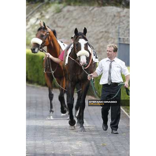 Vedelago 2nd in the Premio Festuca Rome,Capannelle racecourse,8th sept.2013 ph.Stefano Grasso