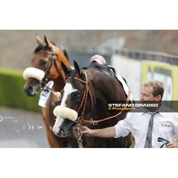 Vedelago 2nd in the Premio Festuca Rome,Capannelle racecourse,8th sept.2013 ph.Stefano Grasso