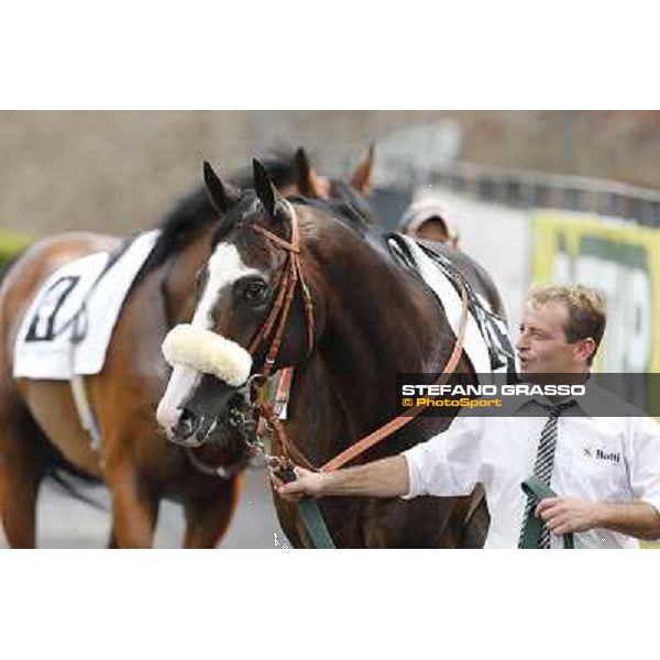 Vedelago 2nd in the Premio Festuca Rome,Capannelle racecourse,8th sept.2013 ph.Stefano Grasso