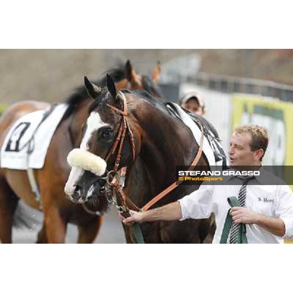 Vedelago 2nd in the Premio Festuca Rome,Capannelle racecourse,8th sept.2013 ph.Stefano Grasso