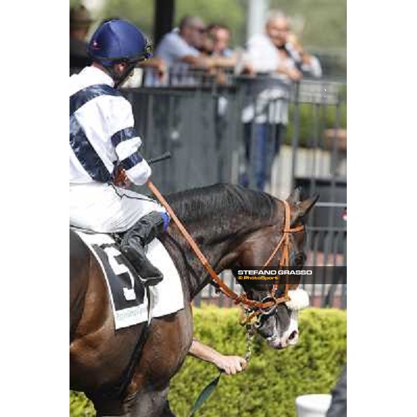 Mario Esposito on Vedelago 2nd in the Premio Festuca Rome,Capannelle racecourse,8th sept.2013 ph.Stefano Grasso