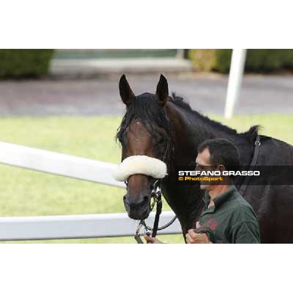 Carlo Fiocchi and Principe Adepto win the Premio Festuca Rome,Capannelle racecourse,8th sept.2013 ph.Stefano Grasso