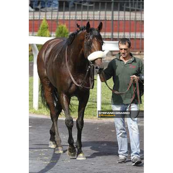 Carlo Fiocchi and Principe Adepto win the Premio Festuca Rome,Capannelle racecourse,8th sept.2013 ph.Stefano Grasso