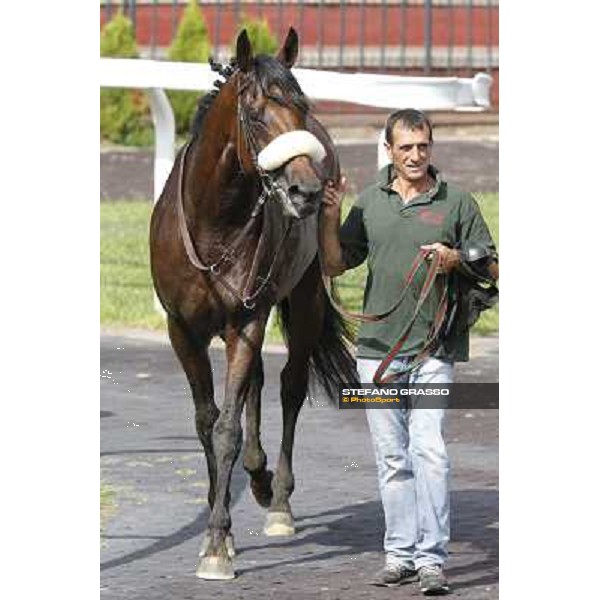 Carlo Fiocchi and Principe Adepto win the Premio Festuca Rome,Capannelle racecourse,8th sept.2013 ph.Stefano Grasso
