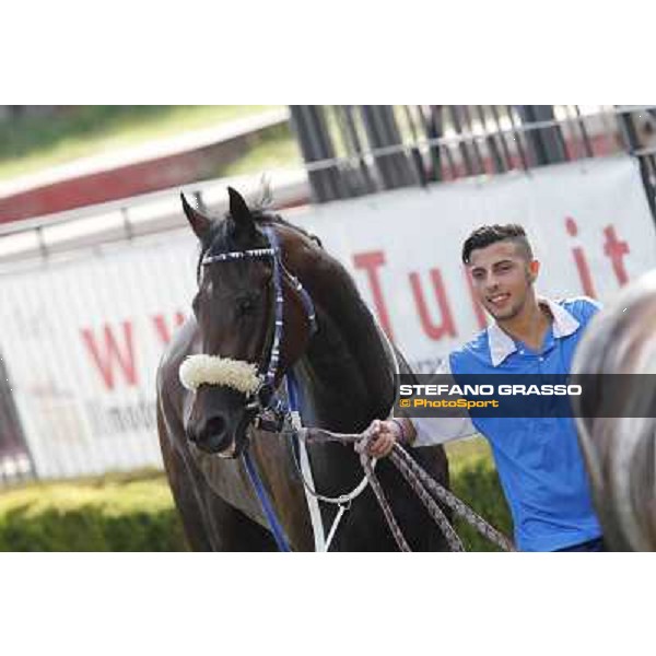 Valvibrata after winning the Premio Handicap d\'Autunno Rome,Capannelle racecourse,8th sept.2013 ph.Stefano Grasso