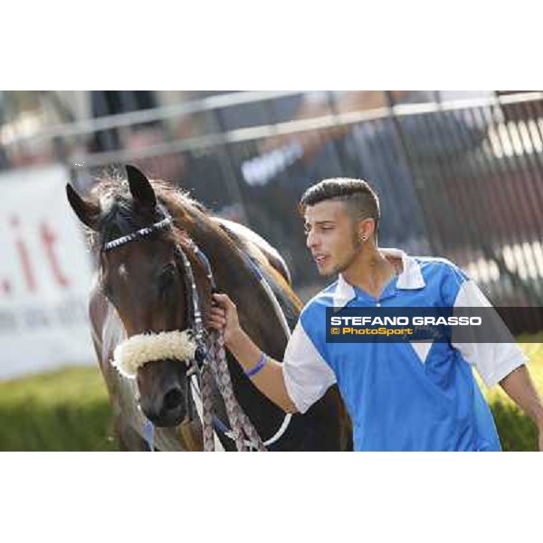 Valvibrata after winning the Premio Handicap d\'Autunno Rome,Capannelle racecourse,8th sept.2013 ph.Stefano Grasso