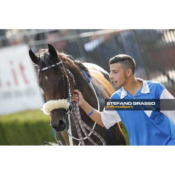 Valvibrata after winning the Premio Handicap d\'Autunno Rome,Capannelle racecourse,8th sept.2013 ph.Stefano Grasso