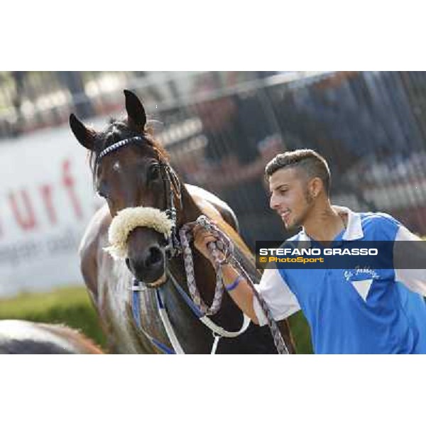 Valvibrata after winning the Premio Handicap d\'Autunno Rome,Capannelle racecourse,8th sept.2013 ph.Stefano Grasso