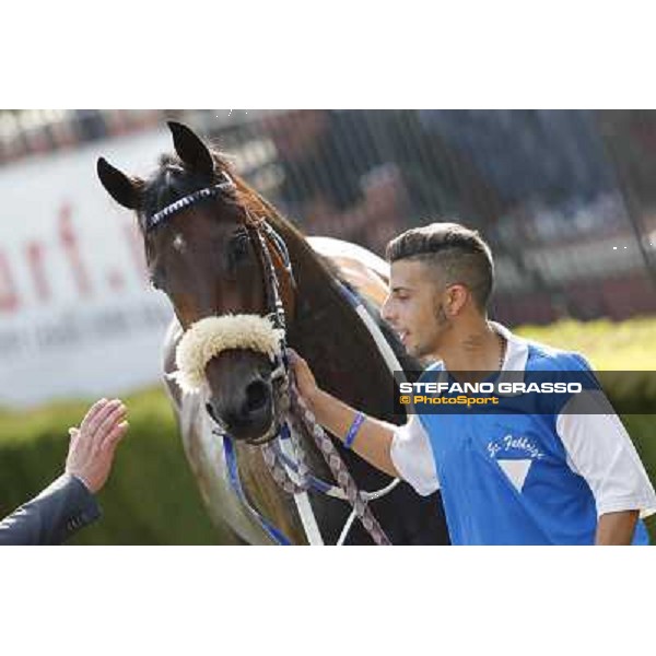 Valvibrata after winning the Premio Handicap d\'Autunno Rome,Capannelle racecourse,8th sept.2013 ph.Stefano Grasso