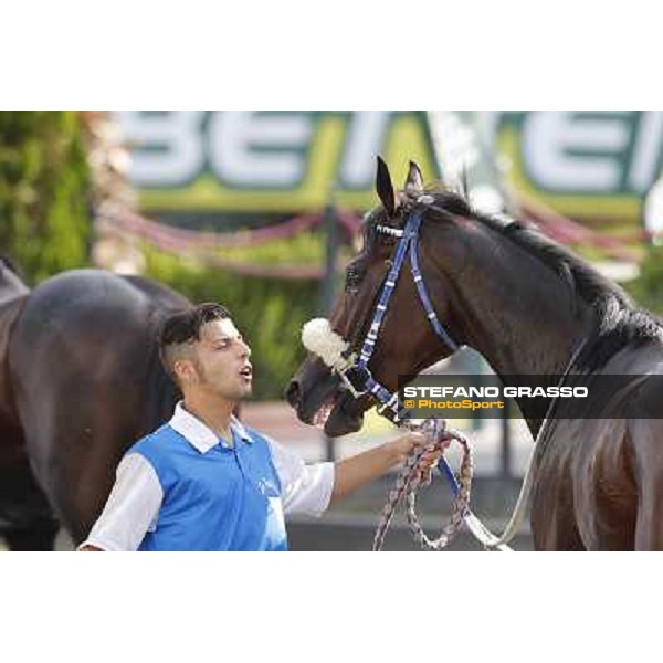 Valvibrata after winning the Premio Handicap d\'Autunno Rome,Capannelle racecourse,8th sept.2013 ph.Stefano Grasso
