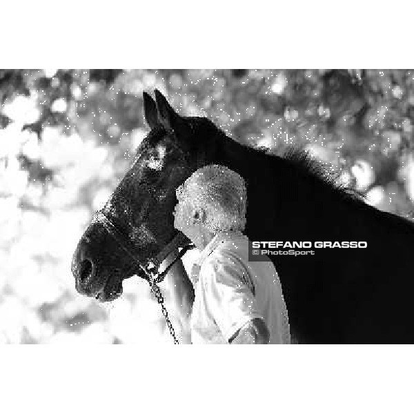 Sandro Bazzani with Varenne\'s father, Waikiki Beach born 30th may 1984 Speedy Somolli and Hula Lobell Anzola dell\'Emilia,10th sept.2013 ph.Stefano Grasso
