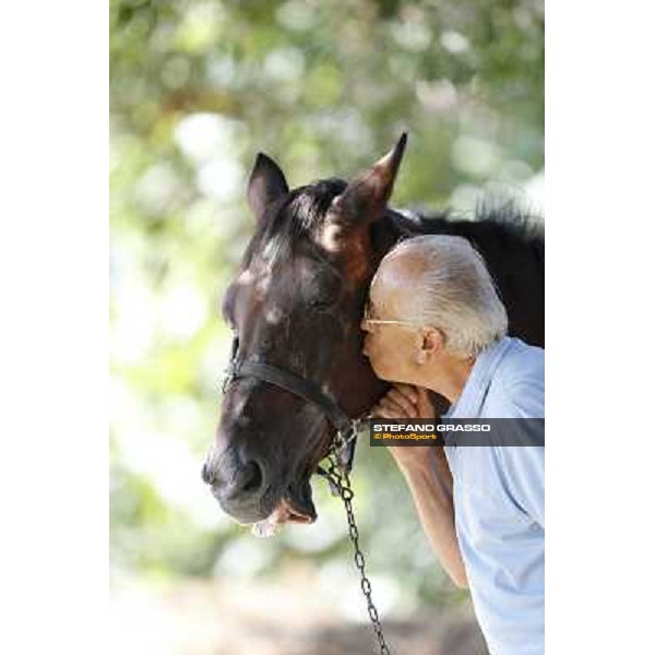 Varenne\'s father, Waikiki Beach born 30th may 1984 Speedy Somolli and Hula Lobell Anzola dell\'Emilia,10th sept.2013 ph.Stefano Grasso