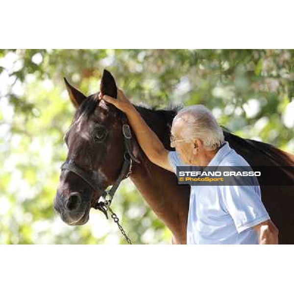 Varenne\'s father, Waikiki Beach born 30th may 1984 Speedy Somolli and Hula Lobell Anzola dell\'Emilia,10th sept.2013 ph.Stefano Grasso