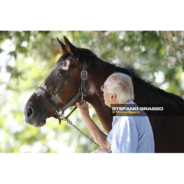 Varenne\'s father, Waikiki Beach born 30th may 1984 Speedy Somolli and Hula Lobell Anzola dell\'Emilia,10th sept.2013 ph.Stefano Grasso