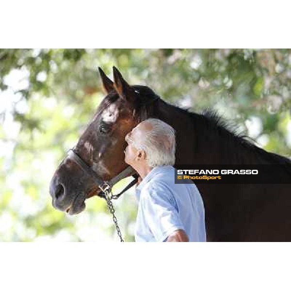 Varenne\'s father, Waikiki Beach born 30th may 1984 Speedy Somolli and Hula Lobell Anzola dell\'Emilia,10th sept.2013 ph.Stefano Grasso